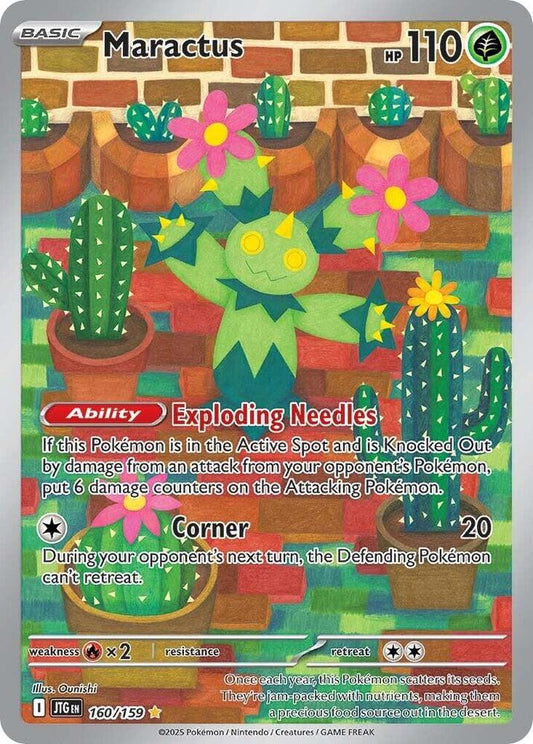 Maractus IR